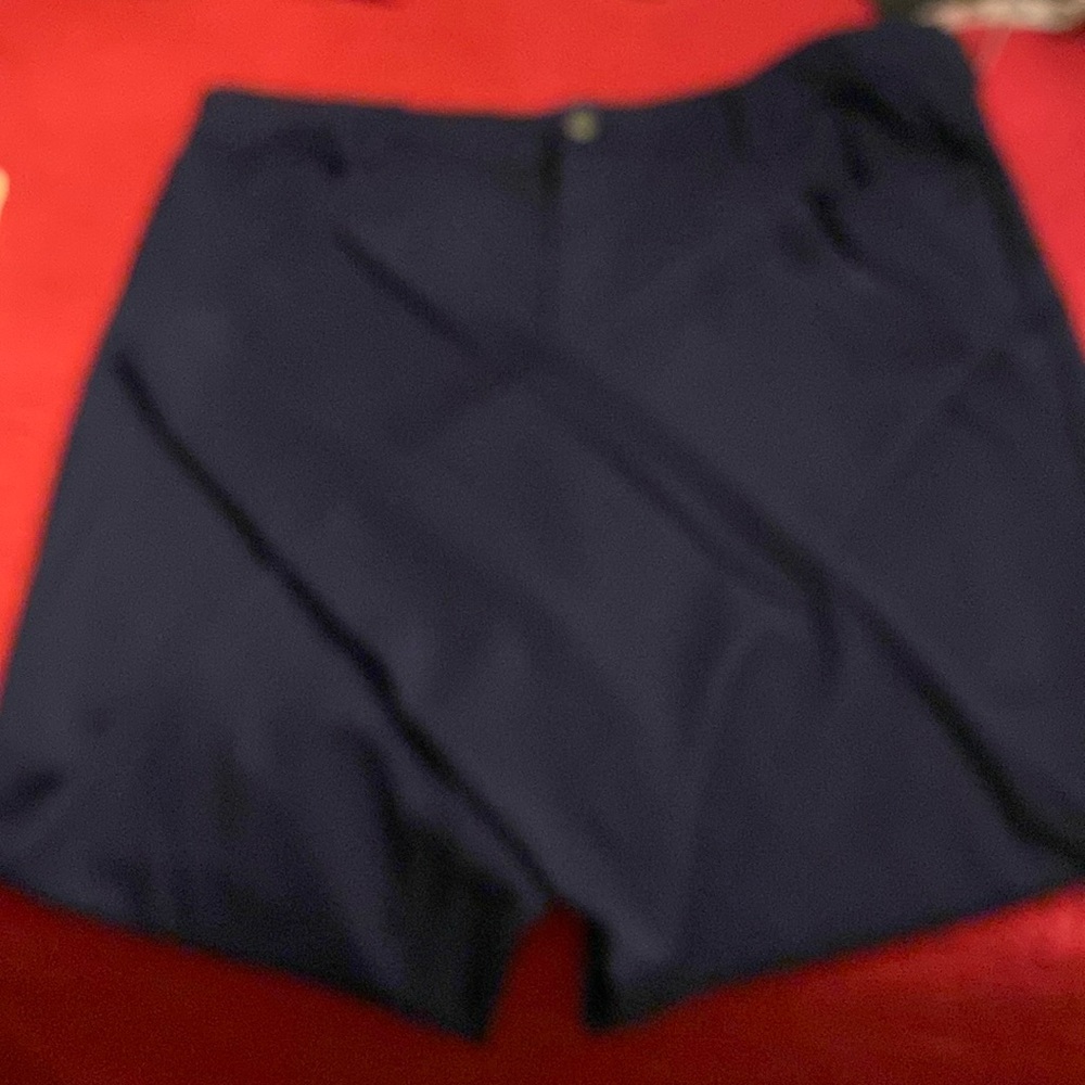 Talbots Rayon, Nylon and Spandex High Waisted Jegging Ankle Size 14